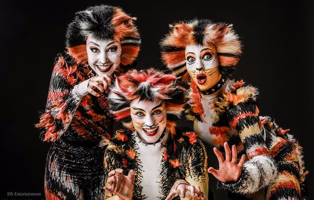 musical-dinner-melle-cats