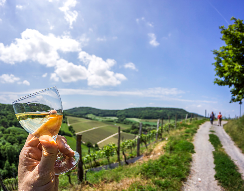Weinbergwanderung Flörsheim-Dalsheim Eine Weinprobe ist ein wahres Fest für Weinliebhaber