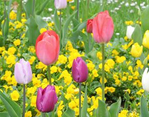 Fototour Herrsching - Hier wird der Hobby-Fotograf zum Kultur-Paparazzo!