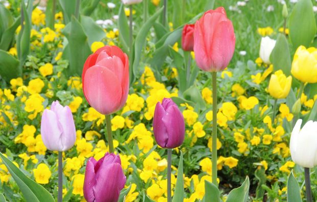 Fototour Herrsching - Hier wird der Hobby-Fotograf zum Kultur-Paparazzo!