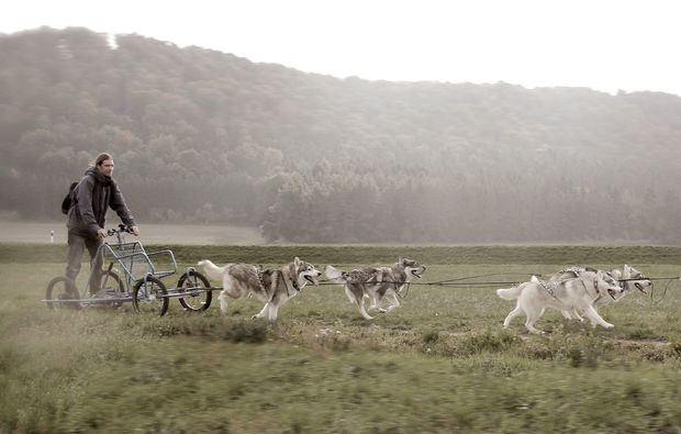 husky-trekking-dietfurt-fahrt