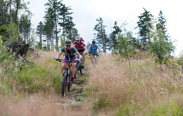 mountainbike-kurs-viechtach-sport