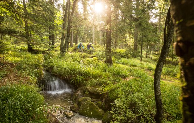 mountainbike-kurs-viechtach-umwelt