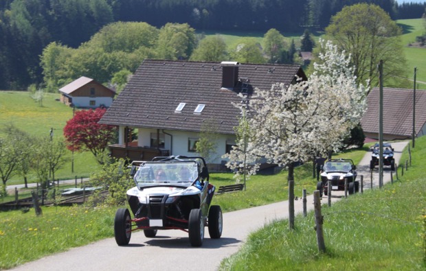 buggy-fahren-meissenheim-fahrspass