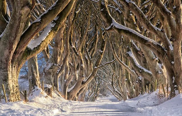 erlebnisreisen-belfast-thrones-westeros