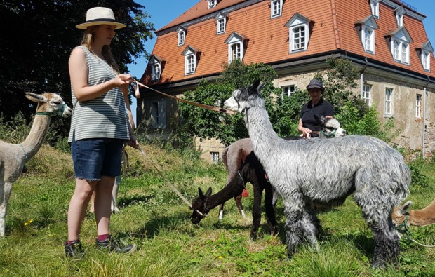 lama-alpakawanderung-wermsdorf-bg4