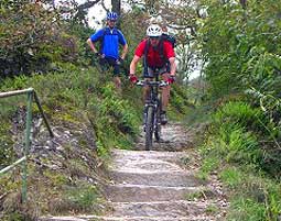 Mountainbike-Kurs