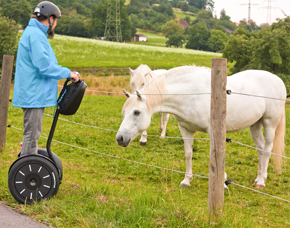 Segway Panorama Tour Welzheim - Gutscheine für eine Tour mit dem Segway buchen