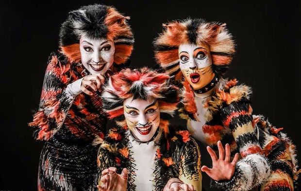 musical-dinner-bad-kreuznach-cats