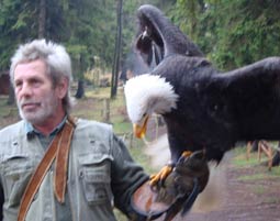 Falkner fr einen Tag