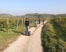 Segway Tour Vogtsburg Weinberge-Tour - Ca. 2 Stunden