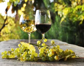 Weinseminar Schwetzingen Eine Weinprobe ist ein wahres Fest für Weinliebhaber
