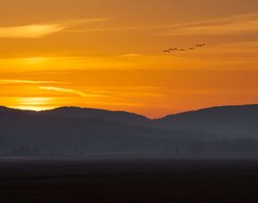 Fotokurs Erfurt - Im Fotoworkshop richtig fotografieren lernen