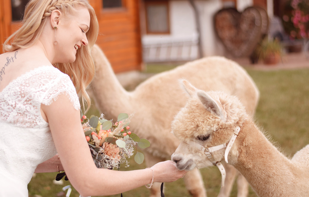 Alpaka Fotoshooting Bad Liebenzell | Mydays