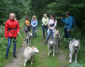 Ca. 4-5 Stunden Husky-Abenteuer-Trip Kollnburg