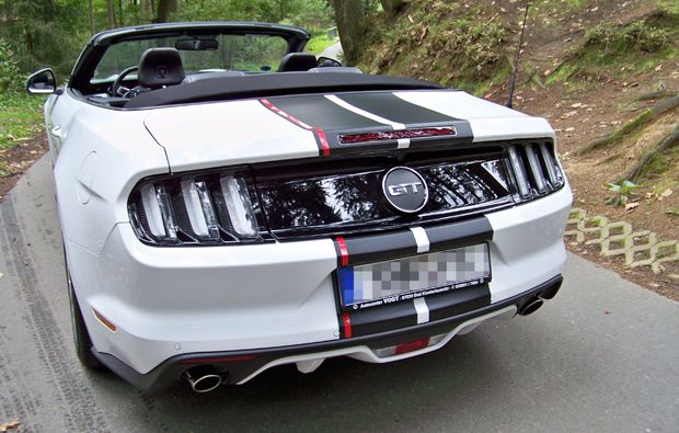 ford-mustang-fahren-hamburg-rueckansicht