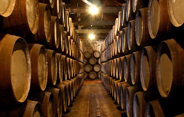 whisky-kaese-tasting-berlin-faesser