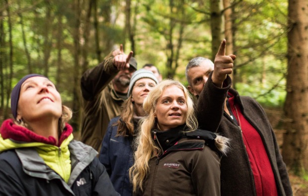 survival-training-ruethen-bg3