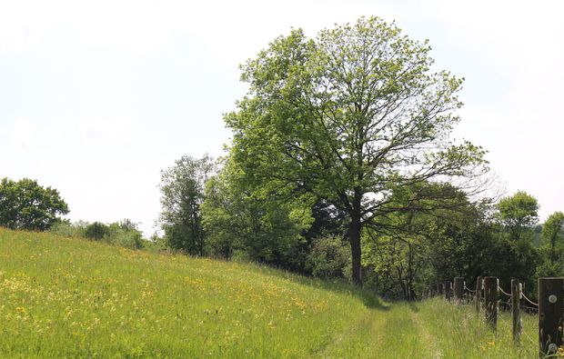 kraeuterwanderung-waldenbuch-natur