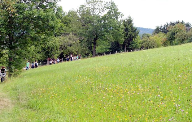 kraeuterwanderung-waldenbuch-wanderung