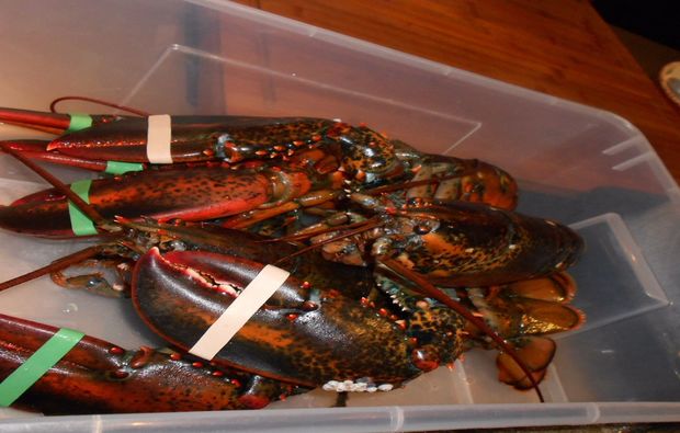 fisch-kochkurs-sasbachwalden-meerestiere