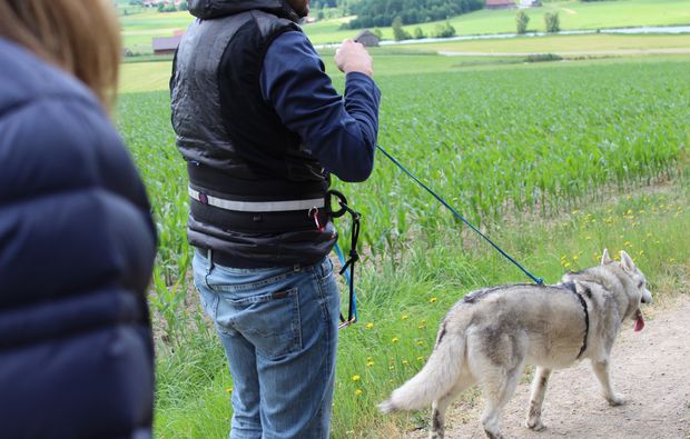 husky-trekking-kulz-route
