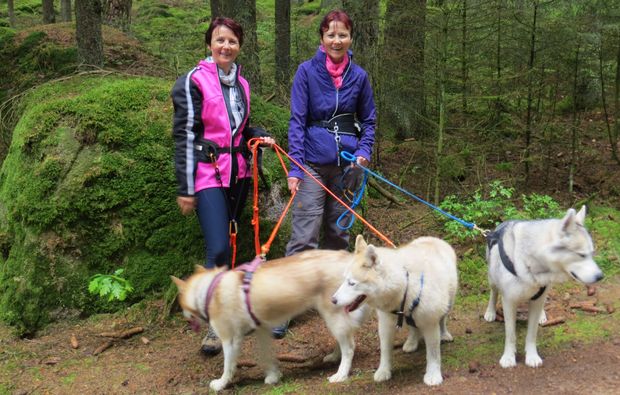 trekking-husky-kulz