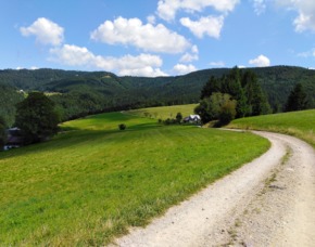 Wandertouren Horben