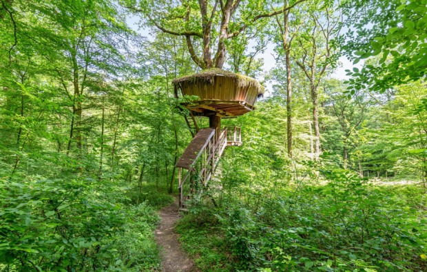 baumhaus-uebernachtung-guyonvelle-treehouse