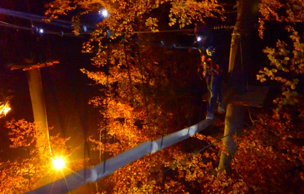 flying-fox-berlingen-by-night