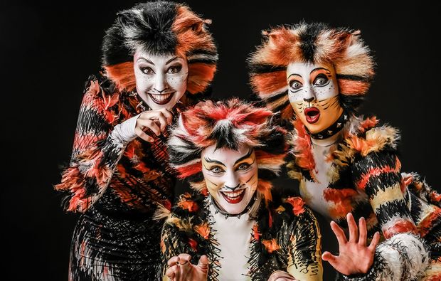 musical-dinner-strausberg-cats