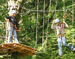 3-high-ropes