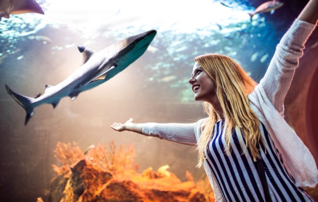 traumtag-fuer-zwei-muenchen-aquarium