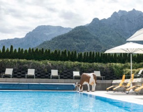 Wellnesshotels - Wellnessurlaub in Tirol - 2 ÜN - Waidring Kuhotel by Rilano – 3-Gänge-Menü