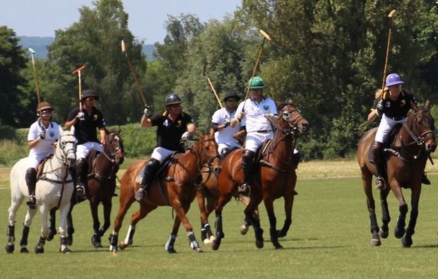 polo-schnupperkurs-frankfurt-sport