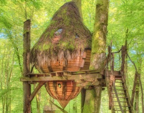 2 nights in a Drommen treehouse - Guyonvelle Drommen Baumhaus - inkl. Frühstück