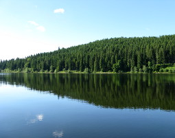 Segway-Tour - Schluchsee - Panorama Segway-Tour - 1,5 Stunden