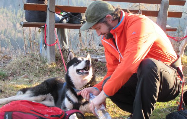 husky-trekking-bad-herrenalb-sport