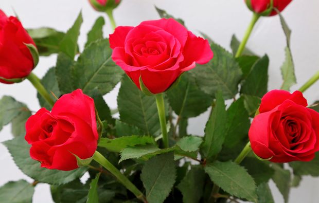 wellness-fuer-frauen-muenchen-schoenheitswunder-massage