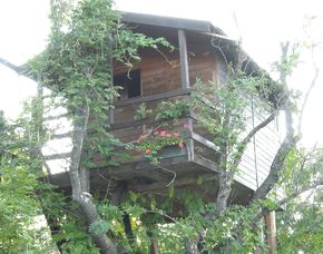 Pernottamento sull'albero zwischen den Zweigen eines alten Mandelbaums