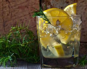 Gin-Tasting - Frankfurt am Main von 6 Sorten Gin
