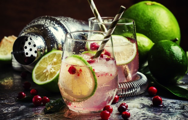 gin-tasting-frankfurt-am-main-bg4