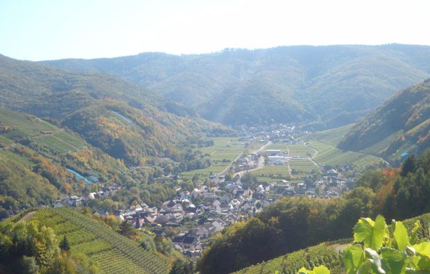 weinseminar-grafschaft-aussicht