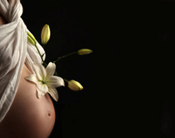 Babybauch-Fotoshooting