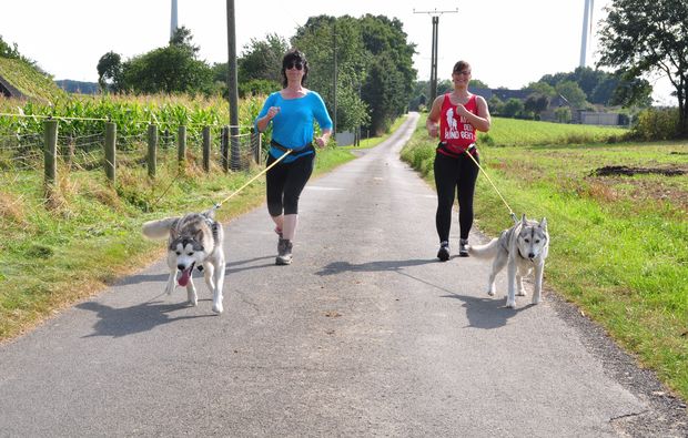 hunde-trekking-goch
