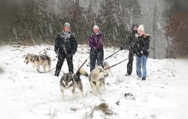 husky-outdoor-erlebnis