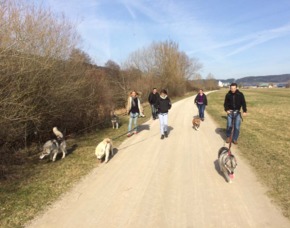 Huskytrekking - 2 Stunden - Dietfurt Kleine Wanderung - 2 Stunden