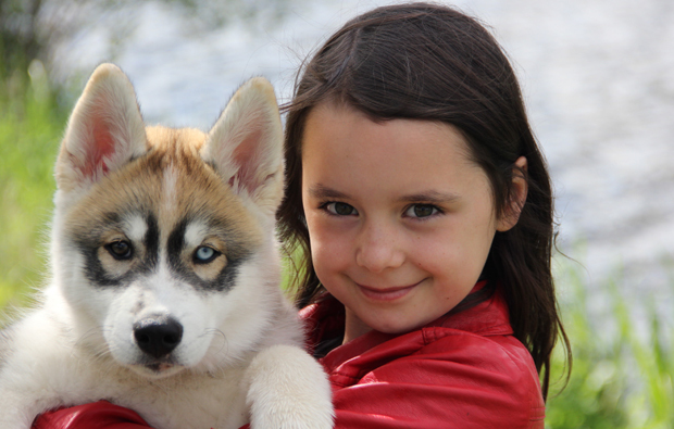husky-winter-erlebnis