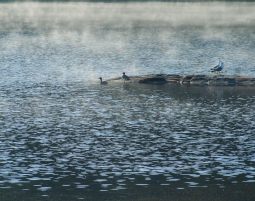 Fotokurs Berlin - Im Fotoworkshop richtig fotografieren lernen