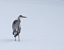 Fotokurs Berlin - Im Fotoworkshop richtig fotografieren lernen